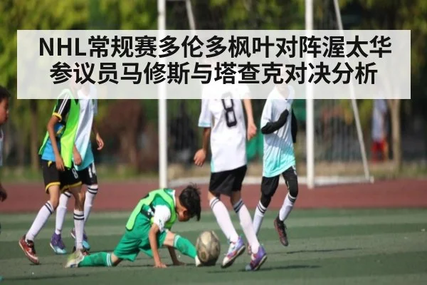 NHL常规赛多伦多枫叶对阵渥太华参议员马修斯与塔查克对决分析（kaiyun）